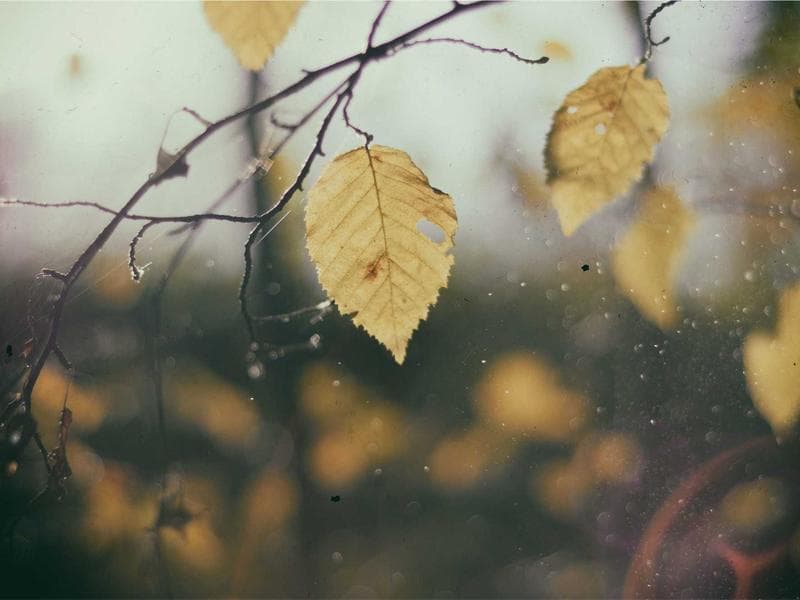 Logistics & Fleet Operations