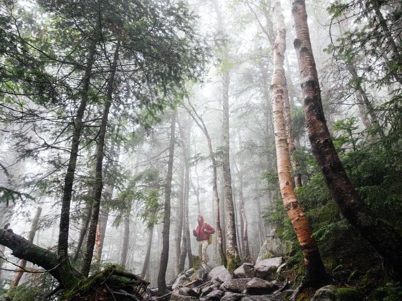 Loan Pipeline & Draw Schedule Tracker